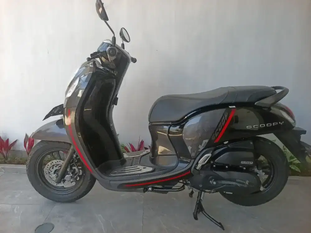 Scoopy 2021 pajak hidup