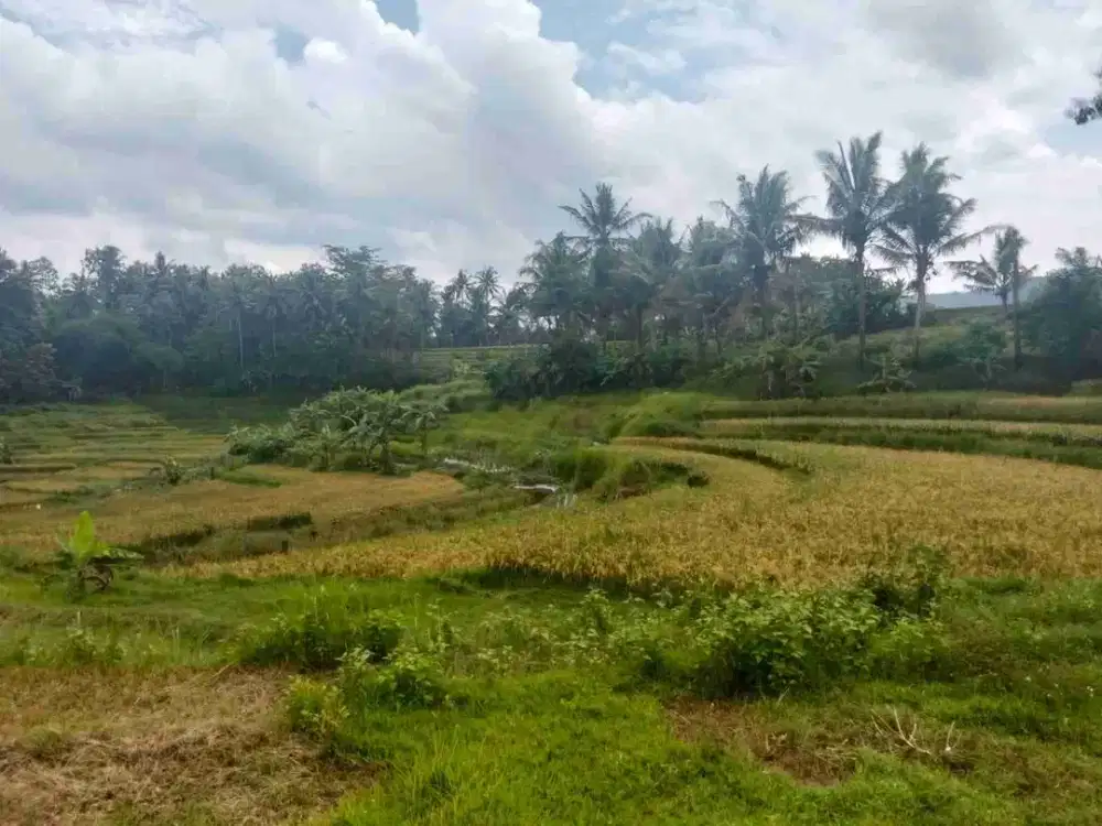 dijual tanah di banjararum kulonprogo