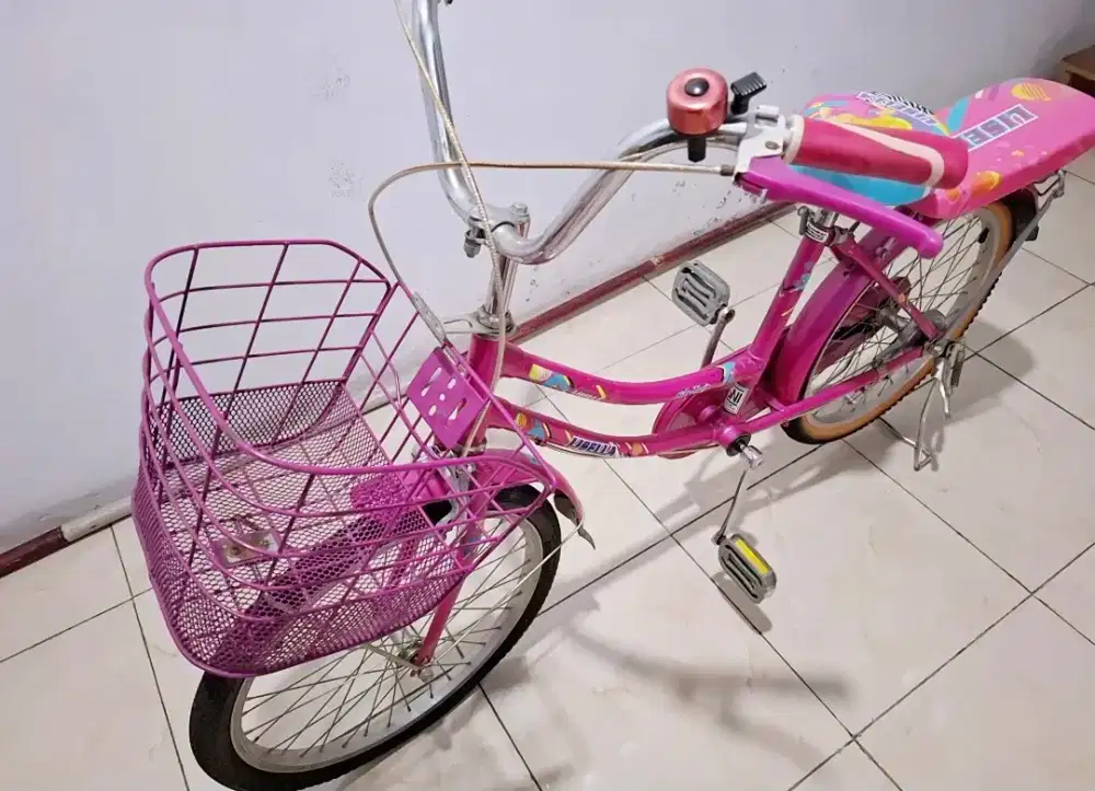 Sepeda anak / dewasa