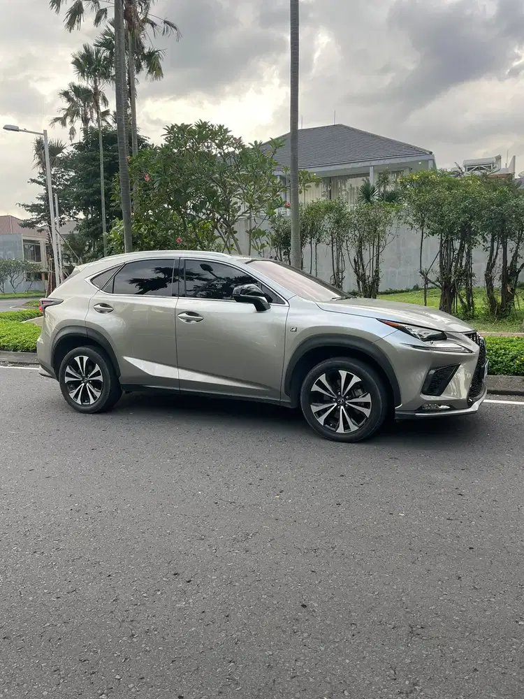 Lexus NX300 2019 Bensin