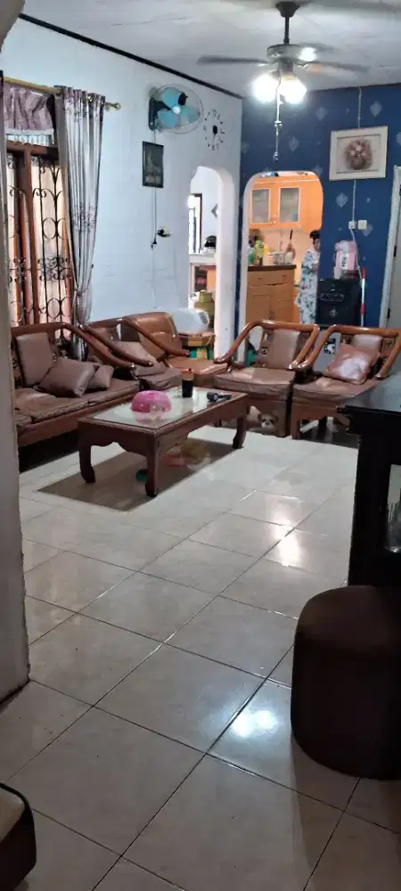 Jasa titip anjing jinak