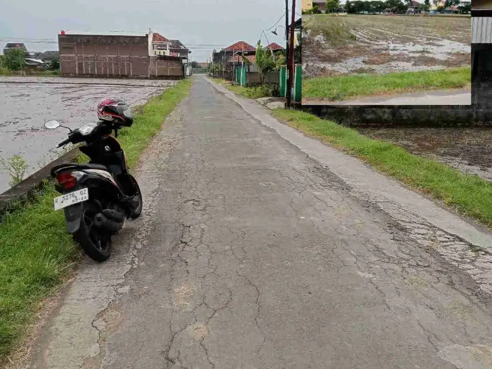 sawah kering Sragen Lor Nglorog Sragen Jawa Tengah