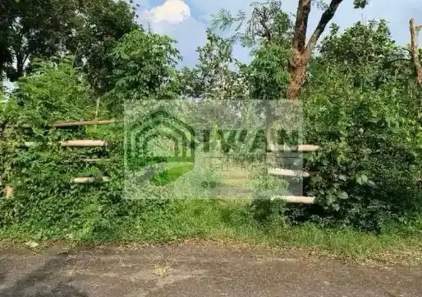 Tanah Pekarangan Luas & Murah Dengan Lebar Muka 50m Dapat View Sawah