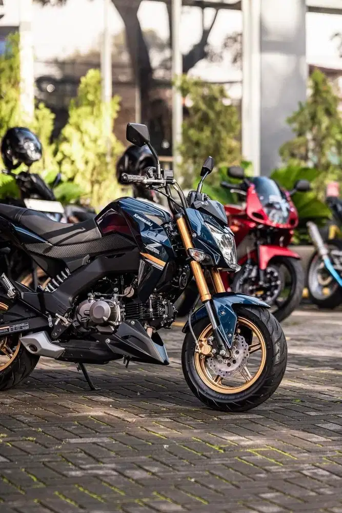 Kawasaki Z125 Rare Unit