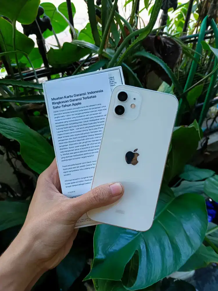 iPhone 12 256 GB iBox