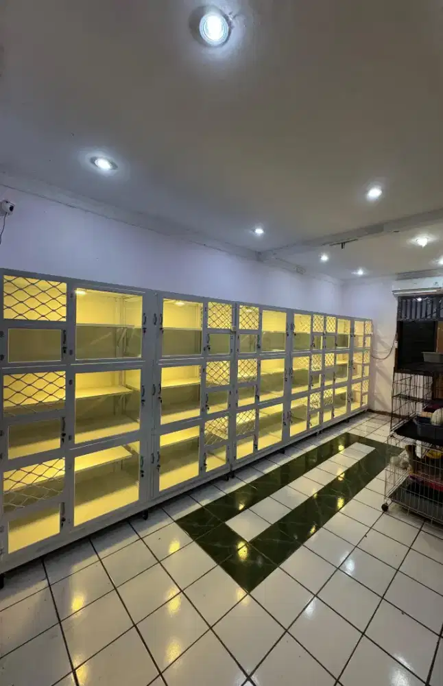 Penitipan hewan peliharaan kucing