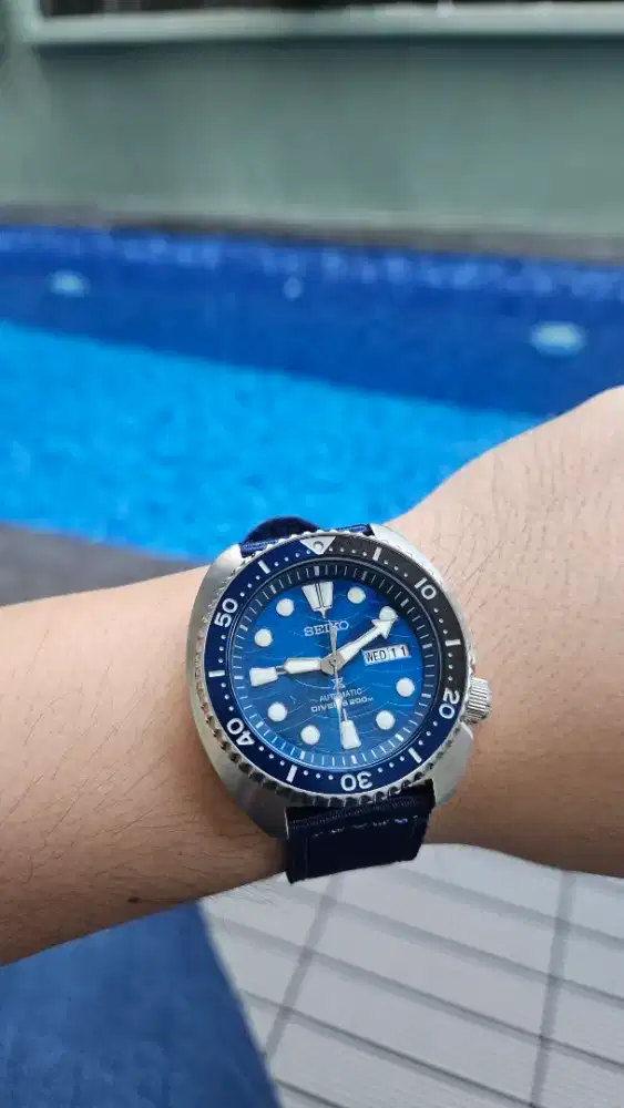 Seiko turtle SRPD21K1 great white shark