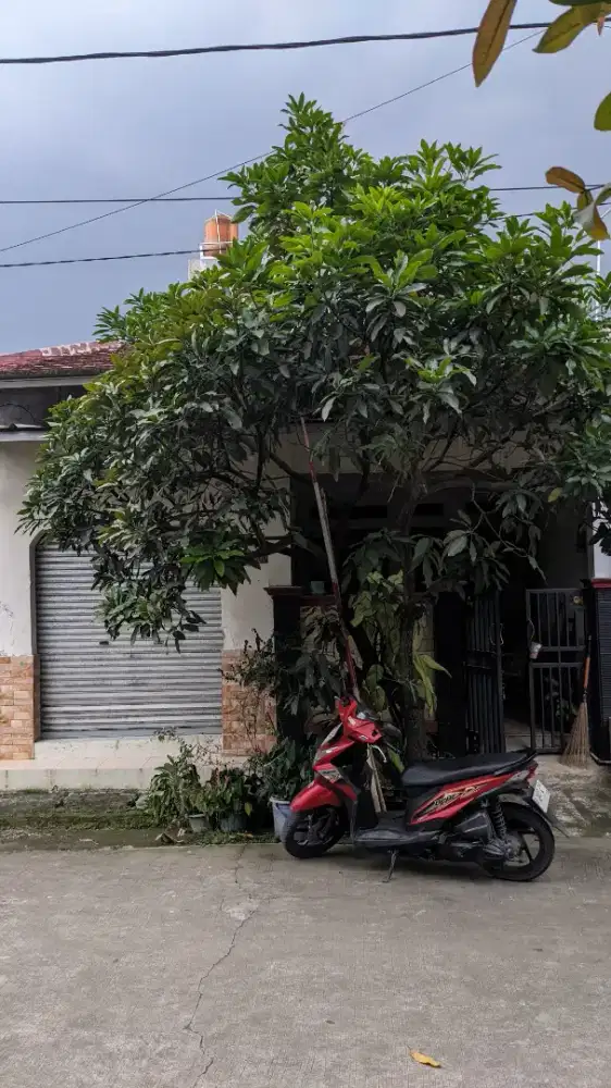 Rumah 1 Lantai Dijual