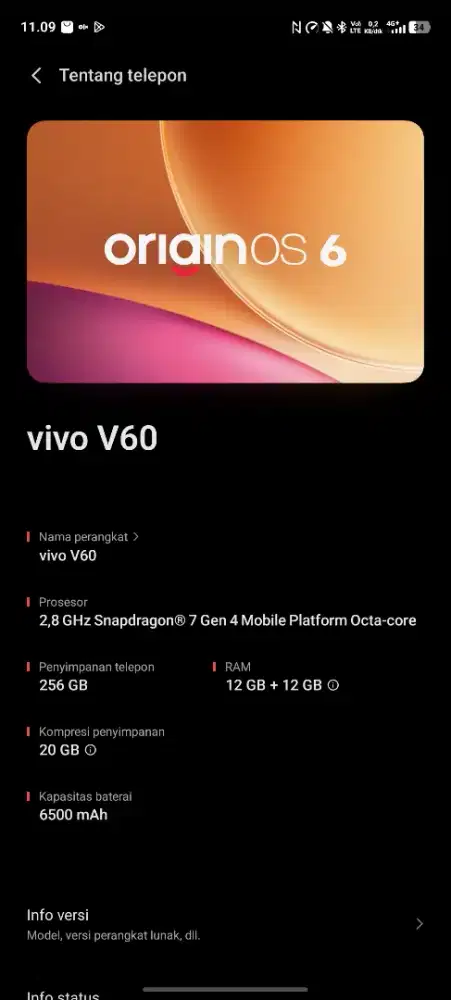 Vivo V60 5G 12/256