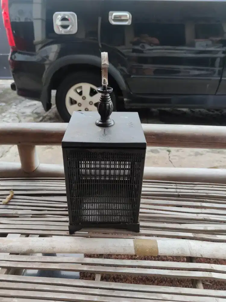 Kandang Jangkrik Layak Pakai