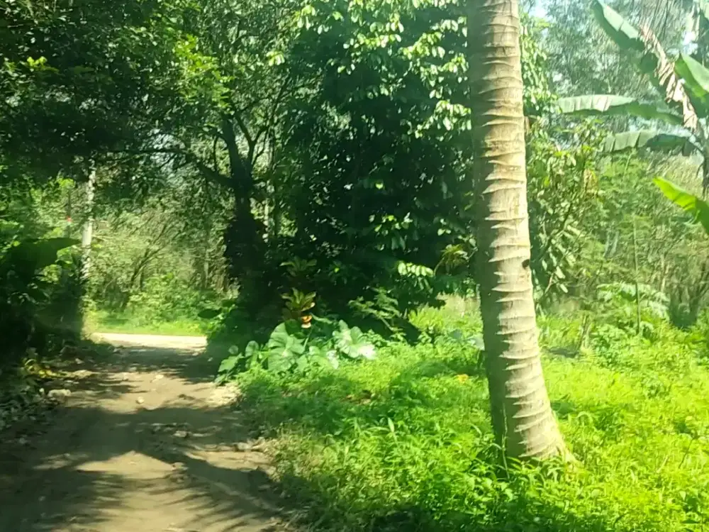 Tanah Murah 350m² di Rumpin Bogor – Akses 2 Mobil, Cuma 110 Juta Nego