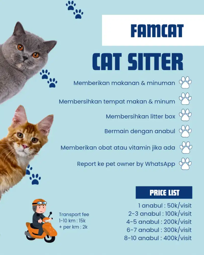 Catsitter homecall || perawat kucing panggilan