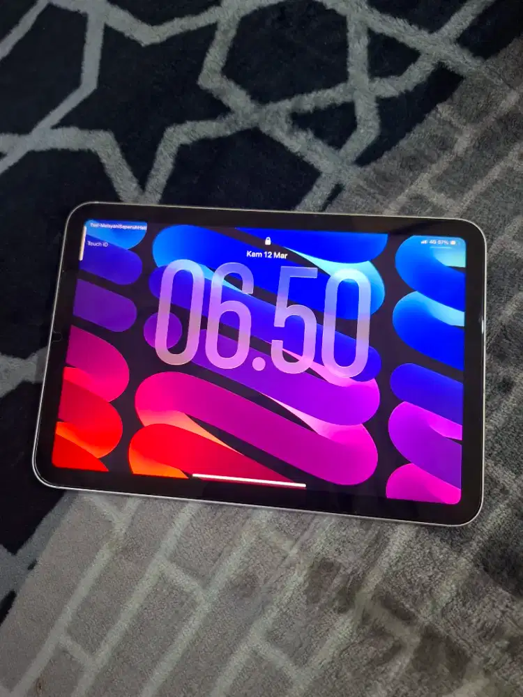 ipad mini 6 starlight wifi celular 256 gb