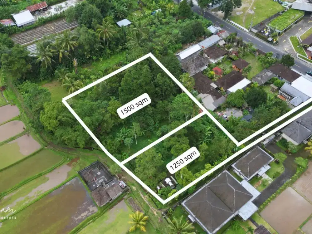 Land with Rice Fields View in Luwus, Baturiti, Tabanan