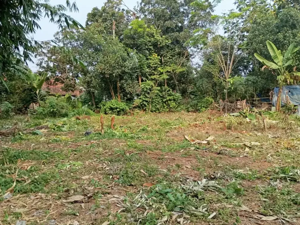 Tanah SHM Cisauk Dekat Stasiun Jatake Baru, Bisa Cicil 12x