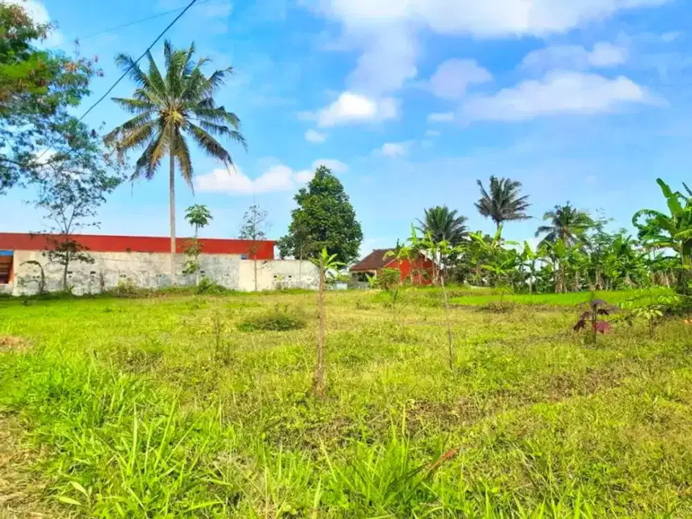 Tanah SHMP 2527m2 Jl Kaliurang Km 18 Pakem Dekat UII Terpadu Jogja