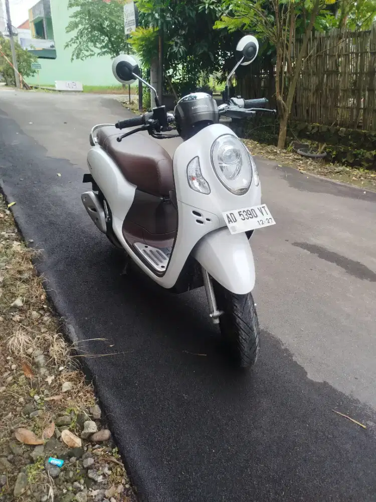 All new scoopy 2022