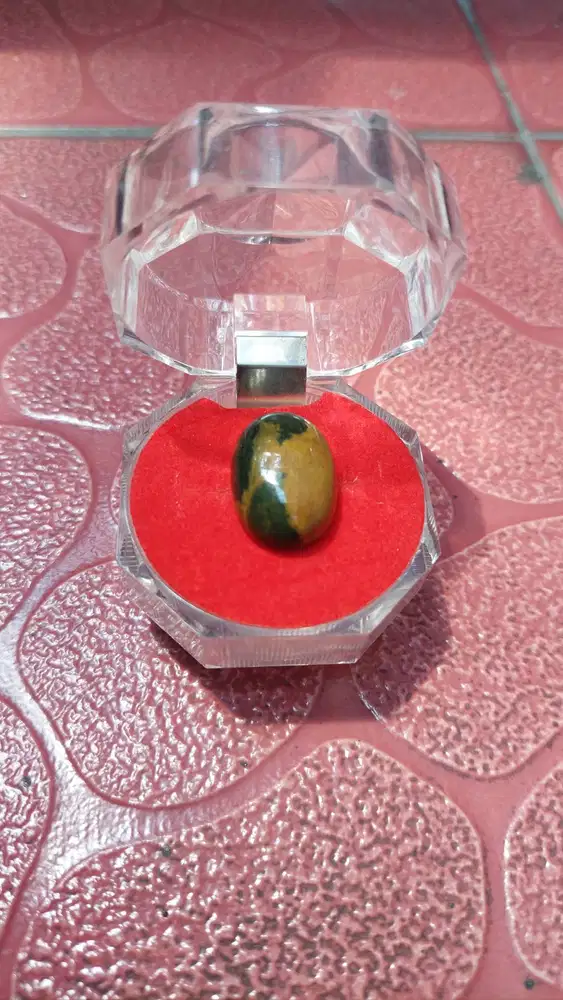 Batu Cincin Fosil Kayu Antik