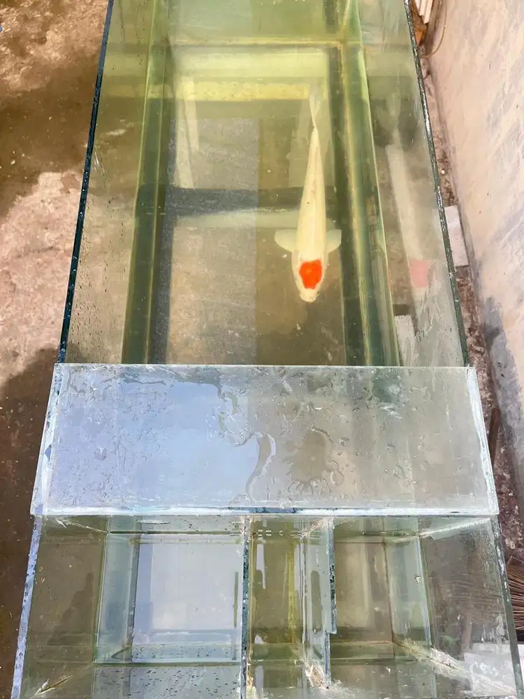 Dijual 2 aquarium