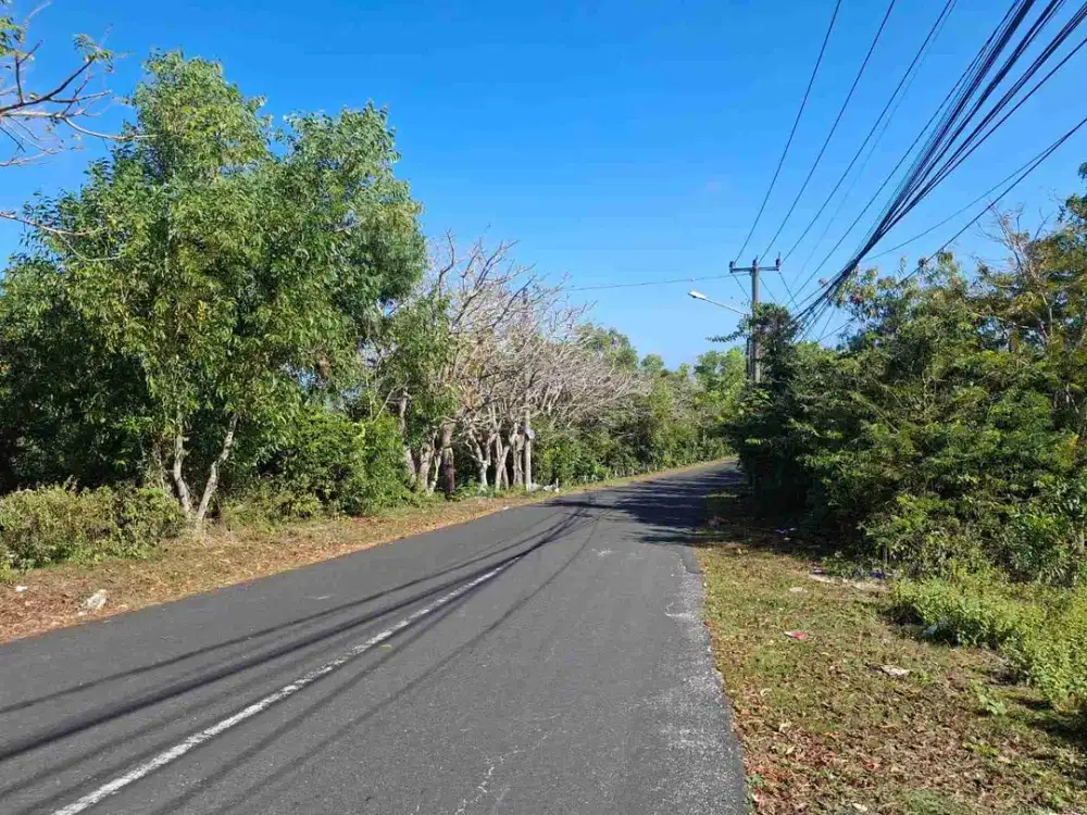 Jual Tanah 25are/2500m² Jl.Pura Batu Pageh, Bali Cliff Zona Kuning area cocok untuk Villa villq Komersil