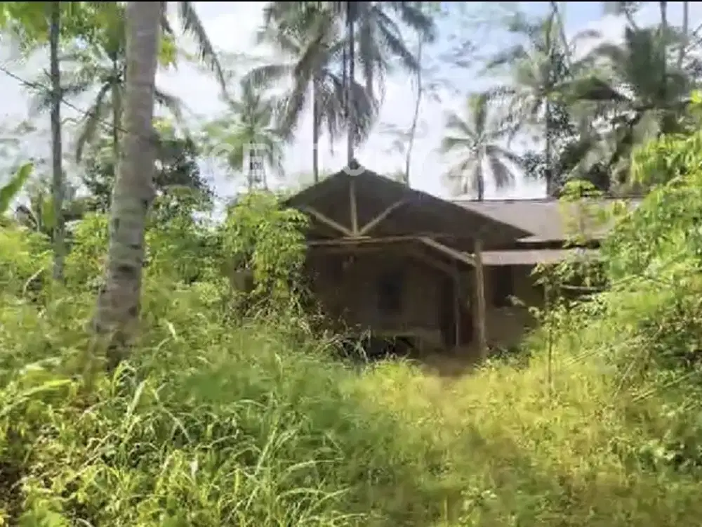 TANAH LUAS DI DESA CITALAHAB, KEC BANJAR PANDEGLANG BANTEN