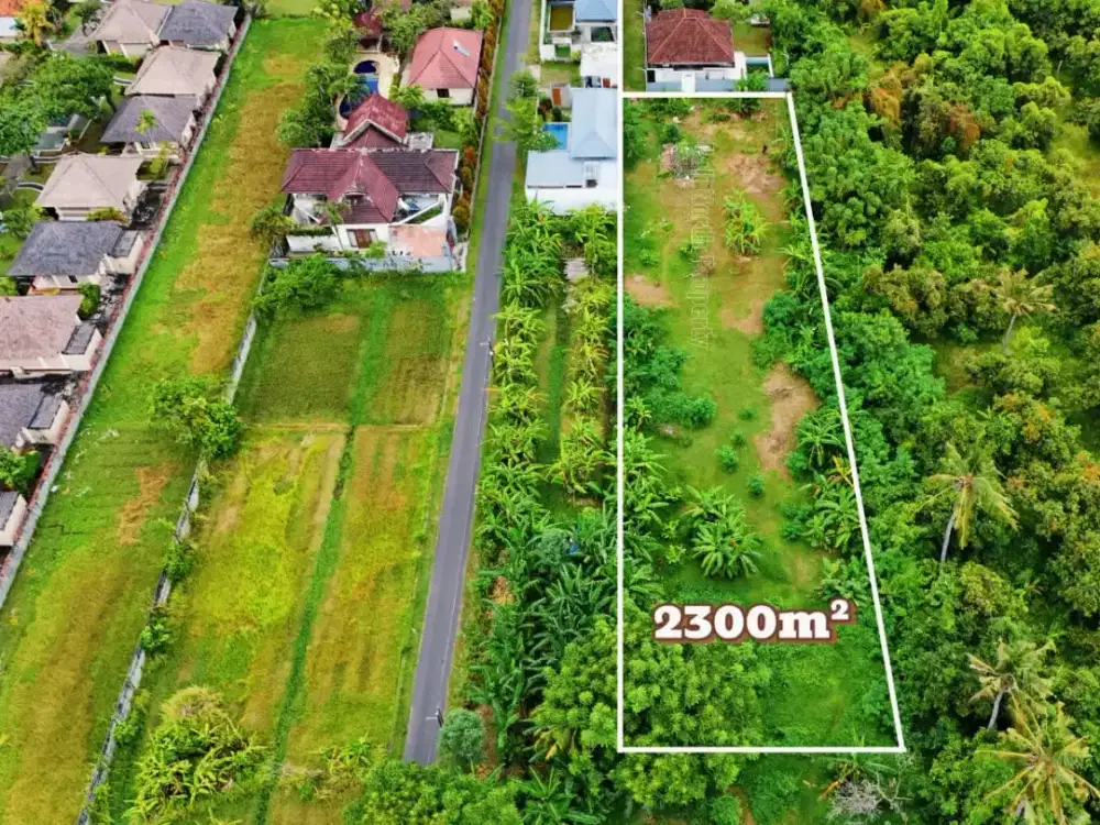 Peluang Investasi Premium – Lovina, Bali Utara