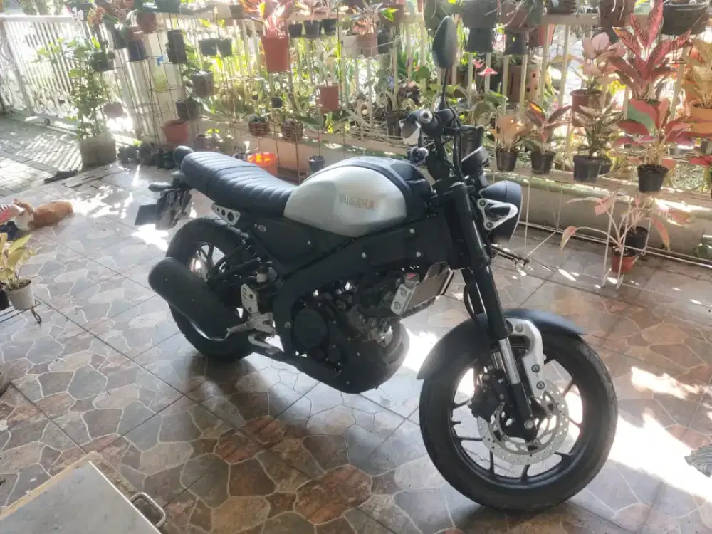 XSR a.n Sendiri Pajak Panjang