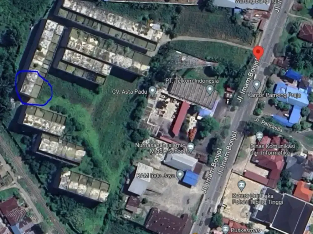 Rumah Sarang Burung Walet (sudah ada sarang)