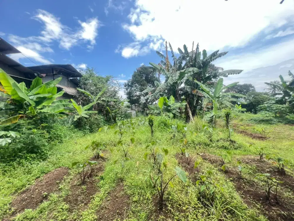 Dijual Tanah Cocok Untuk Gudang Atau Pabrik Di Jalan Kemang Parung  Jalan Raya Jakarta Bogor