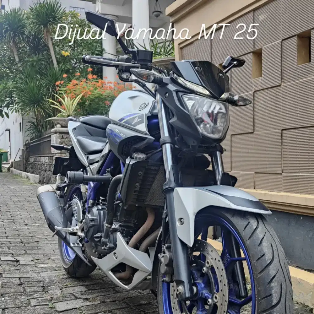 Yamaha MT25 2016