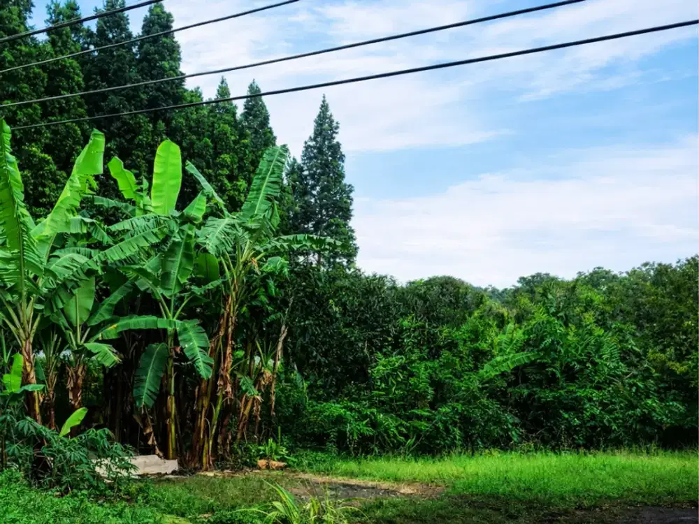 Kavling SHM Di Setiabudi – Lingkungan Nyaman dan strategis!!