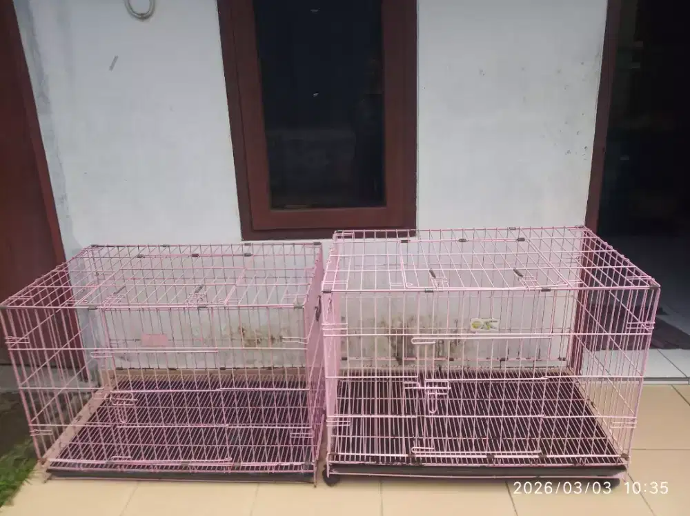 kandang kucing octagon 90