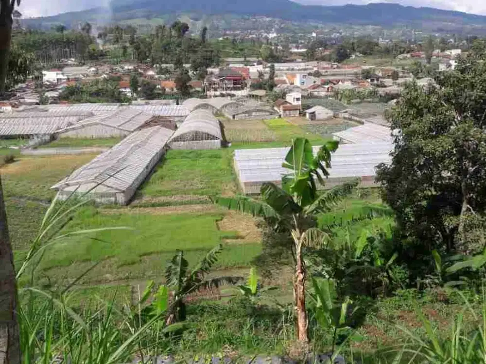 JUAL MURAH KAVLING TANAH DIPAROMPONG DEKAT THE PEAK RESORT