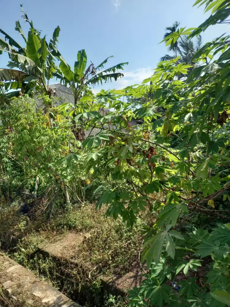 Tanah bagus dekat perumahan bisa nego