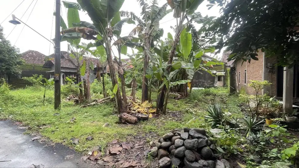 DI JUAL TANAH JEPARA