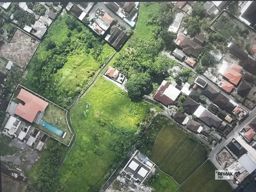 Prime Land 3.5 Are Opportunity For Leasehold 28 Years In Canggu