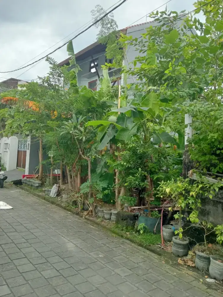 Di kontrakan tanah jalan Akasia XVI, DPS ,Bali