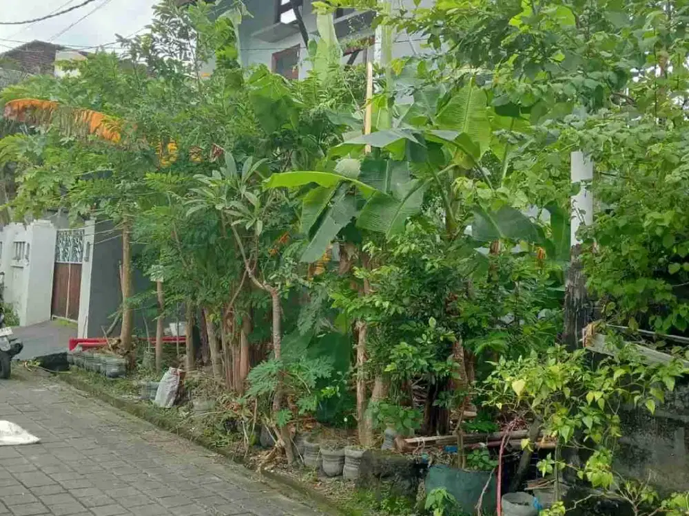 Di kontrakan tanah jalan Akasia, Denpasar, Bali