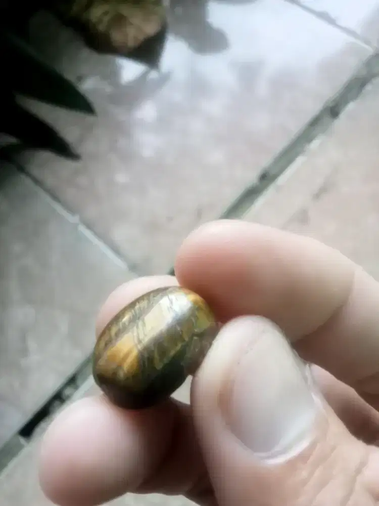 Batu galih kayu berjarong