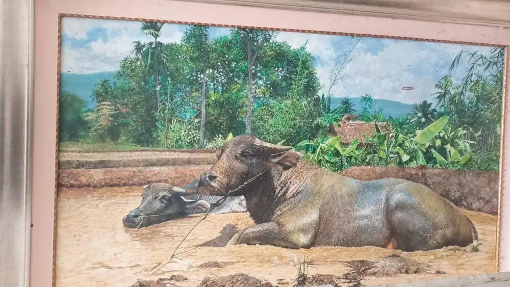 Lukisan kerbau besar