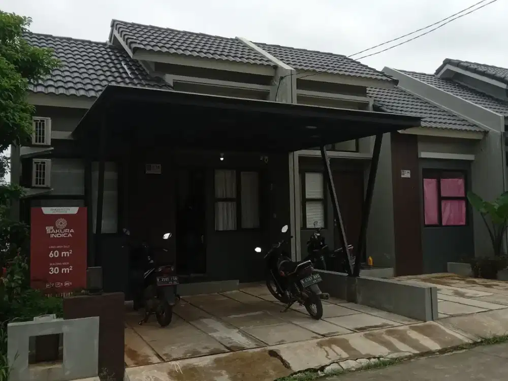 New Sakura Indica: Your Zen Corner in Harvest City