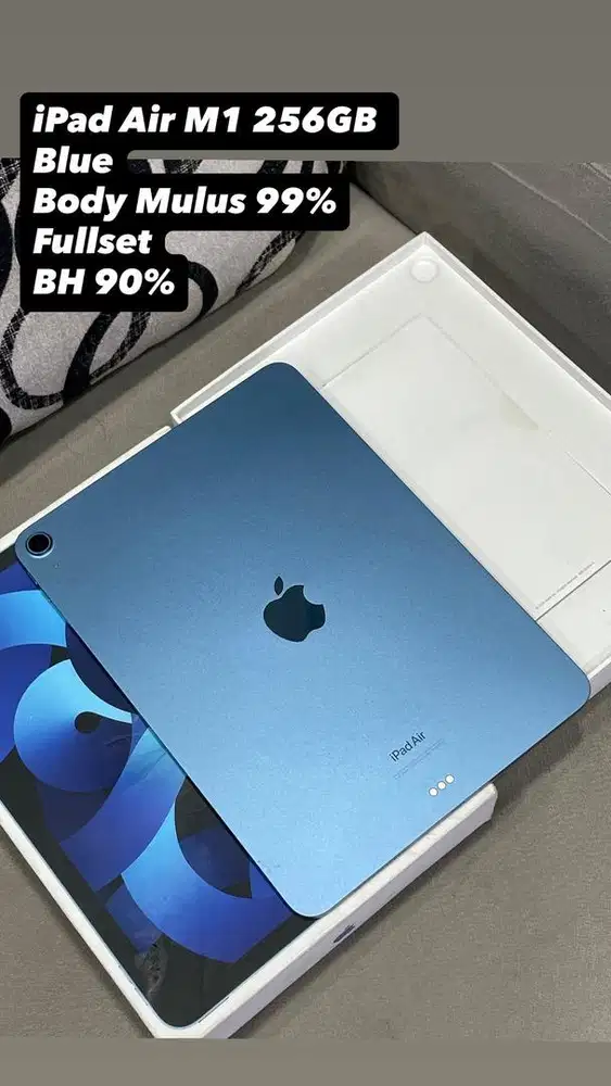 iPad Air M1 256GB Blue wifi only ex body mulus 99%