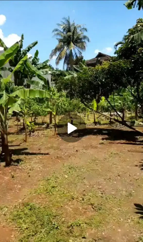 Di Jual Tanah Dekat Trans Cibubur