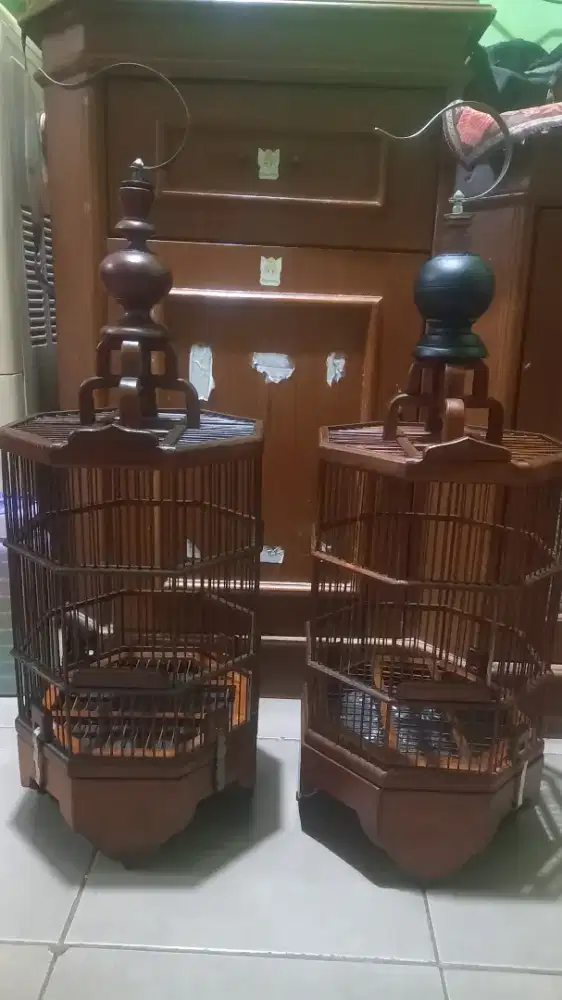 Kandang PLECI segi 8