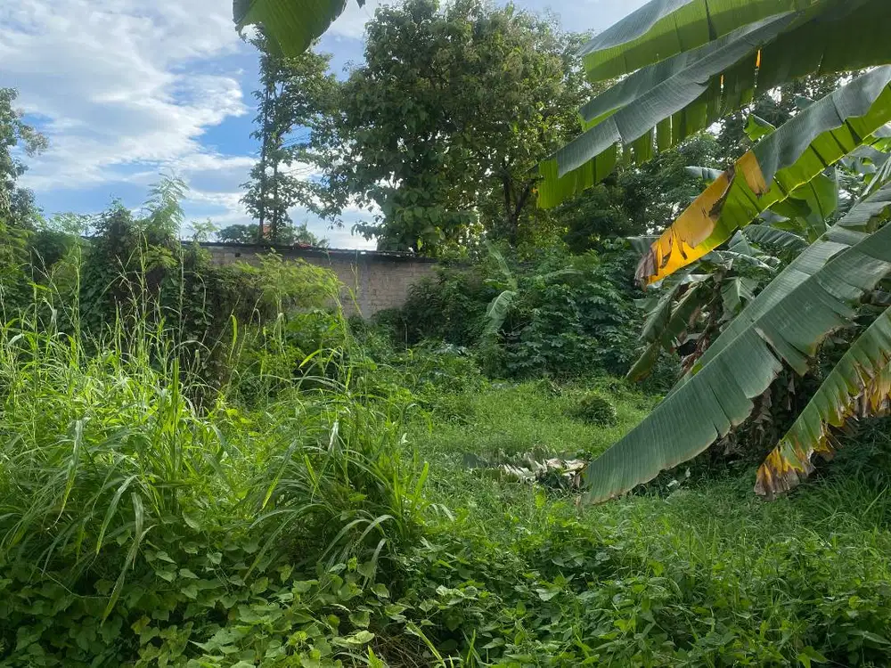 Jual Tanah 500m² Jl. Raya Waringin Kurung – Sudah Ada Pondasi