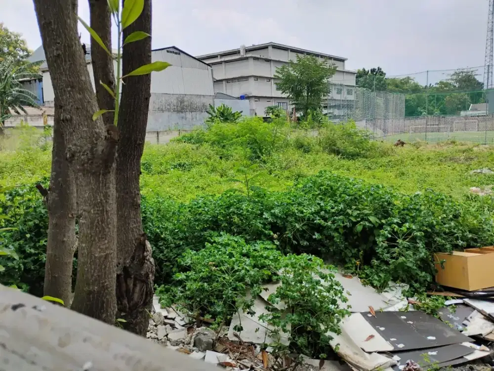 Kavling Tanah di Pademangan Barat Bebas Banjir, Aman, Tanah Besar, Aman Dari Ormas S276