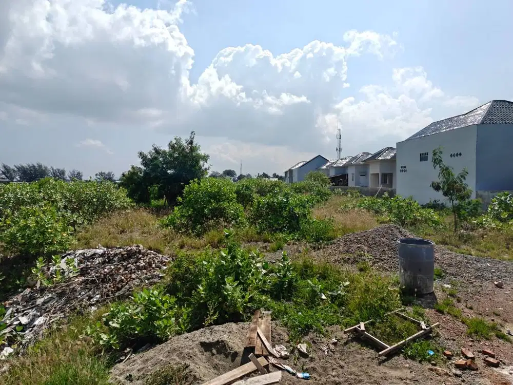 Dijual cepat tanah lamdingin