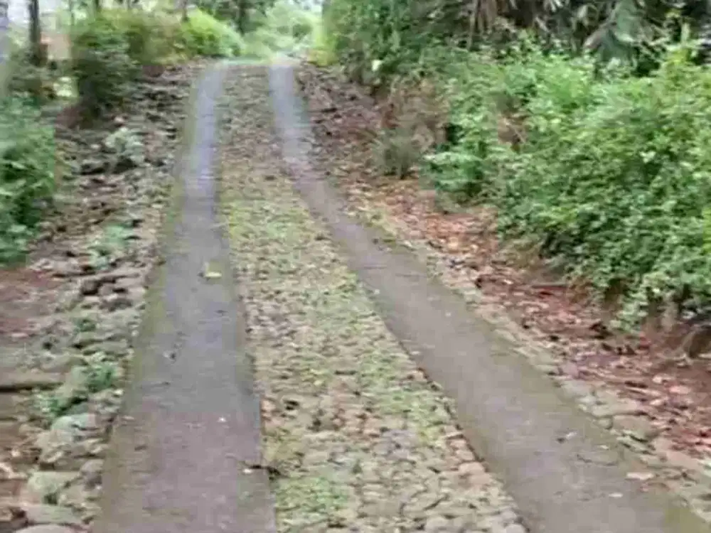 tanah ngadirojo Wonogiri