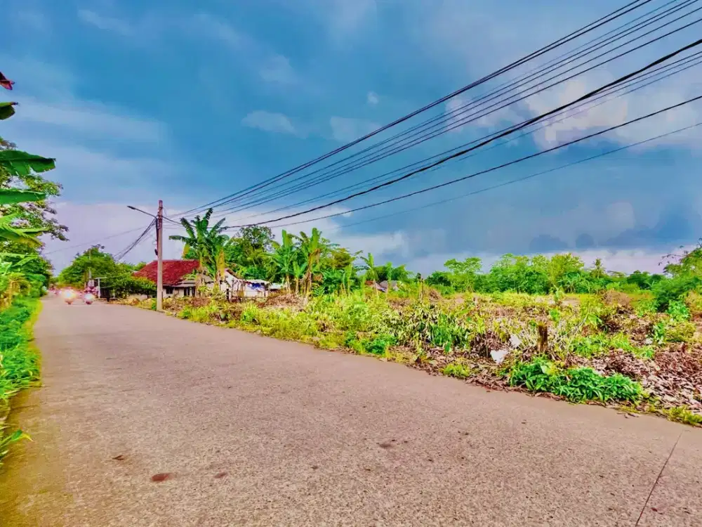 Kavling Cisauk Murah 1 Jt-an Dekat HIERA BSD, SHM