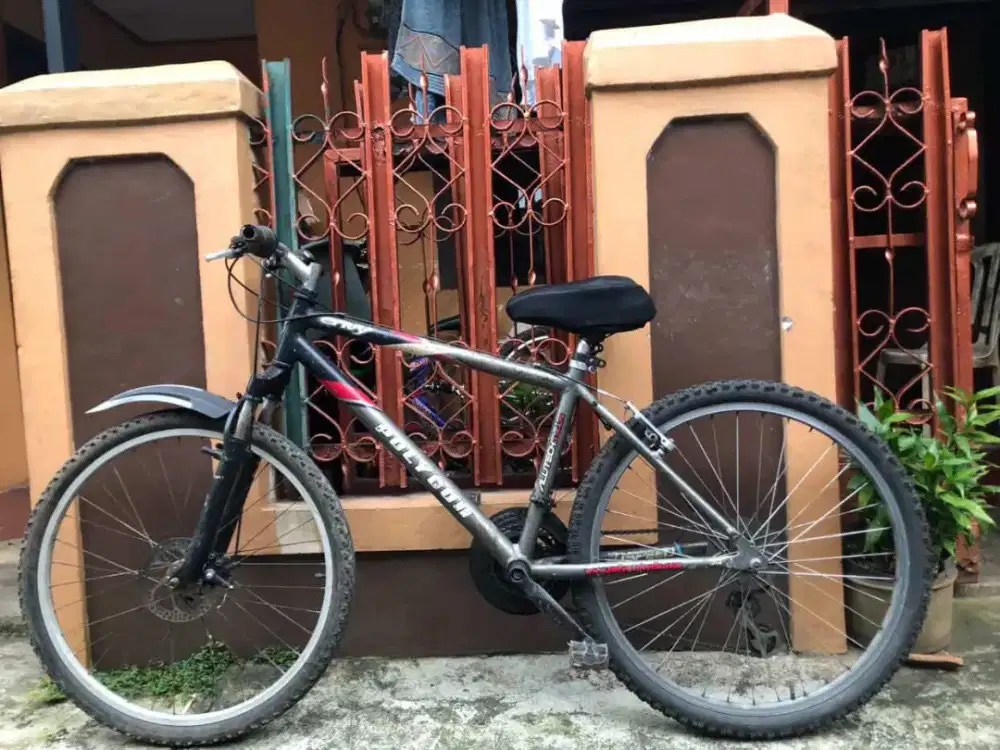 Sepeda Polygon warna abu